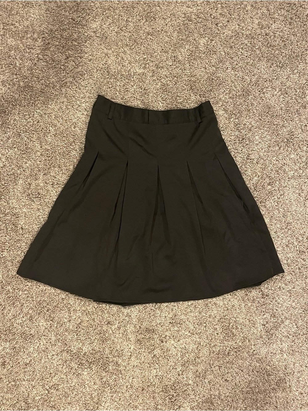 Black Pleated High Waisted A-Line Skirt